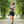 Laufen Short Damen