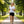 High-Performance T-Shirt Damen – FJORKTec